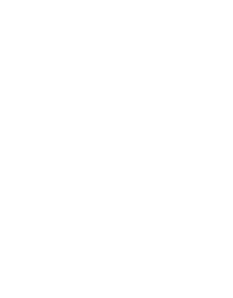 Tax Professional